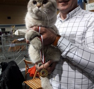 slider 2-gracja-blue