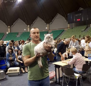 slider 4-gracja-blue